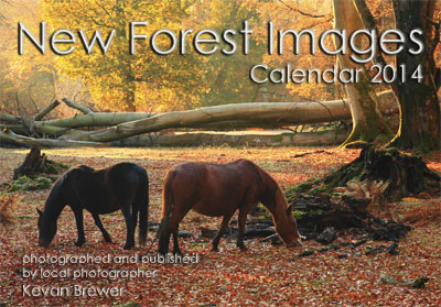 New Forest Images Calendar 2014
