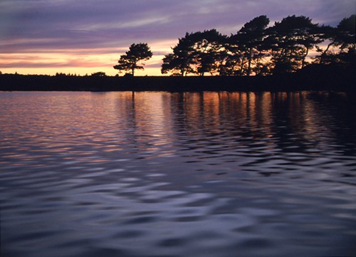 The New Forest : Hatchet Pond at sunset